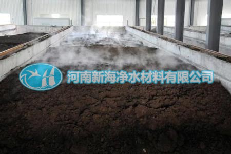 污泥,污水處理,活性,我國(guó),成分